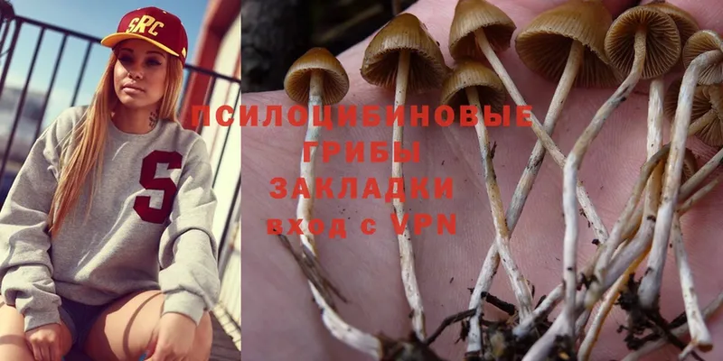 Псилоцибиновые грибы Magic Shrooms  купить наркоту  Орехово-Зуево 